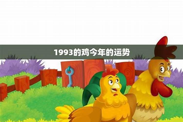 出身于1993的鸡今年运势