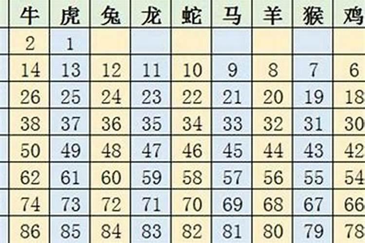 12生肖排序表号码