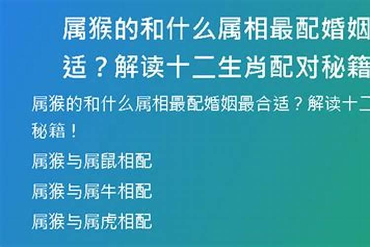 属猴配婚配那个属相合适