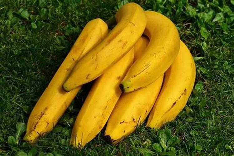 梦见成熟的香蕉是什么意思