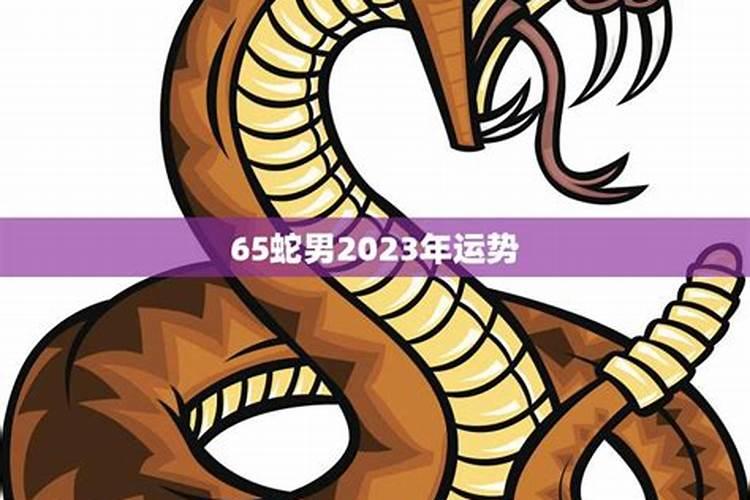 男属蛇2023年运势