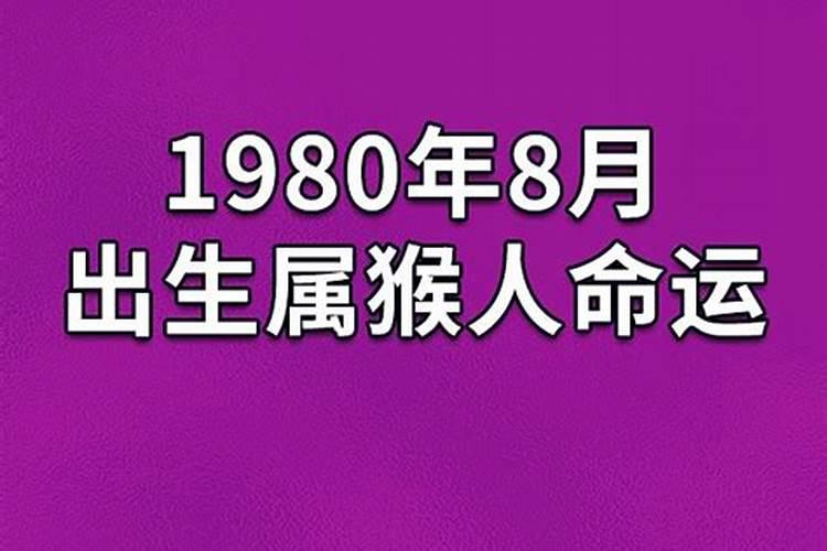 今年立冬是哪一天小度