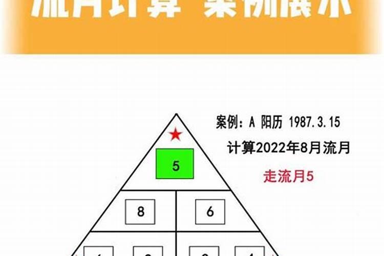 2023年属虎的本命年忌什么