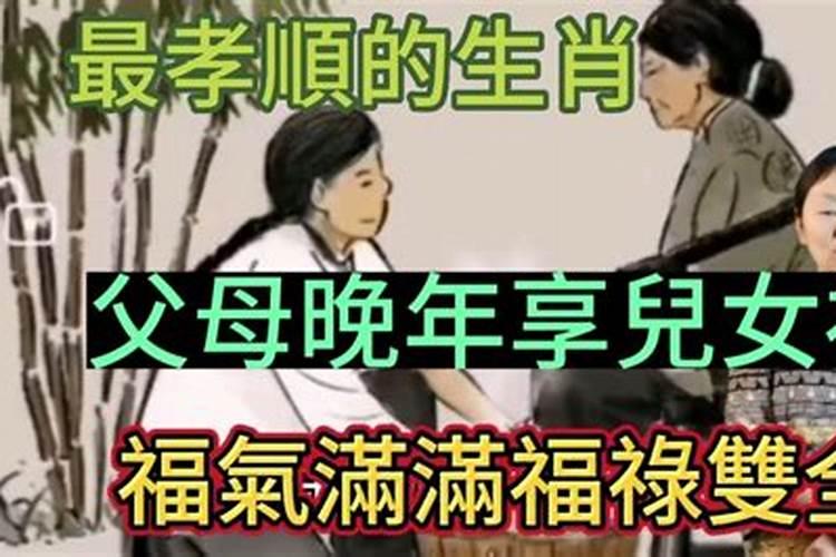 子女享福太多会影响父母运势吗