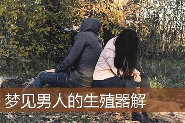 梦见男人的生殖系统什么意思