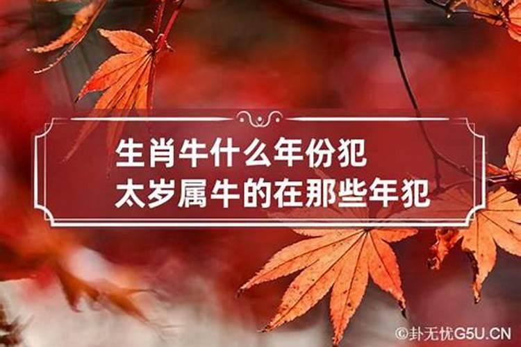 属牛什么年份犯太岁