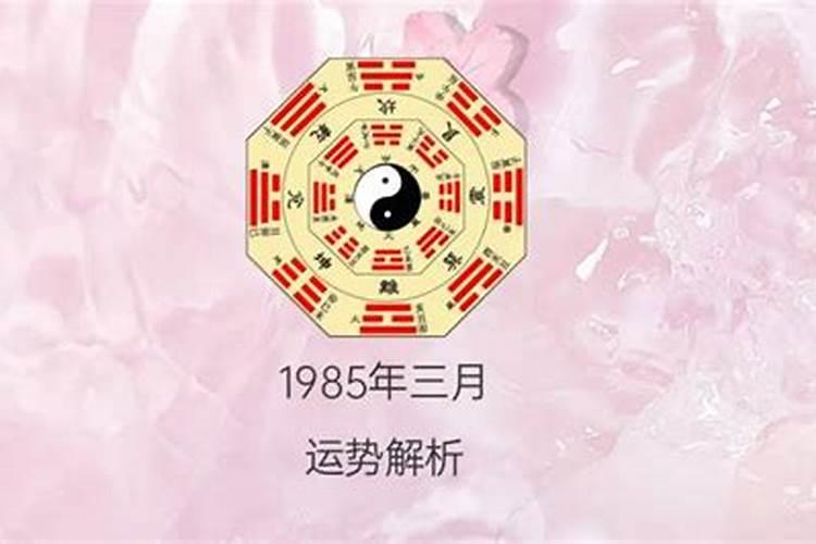 1985农历三月十五命运