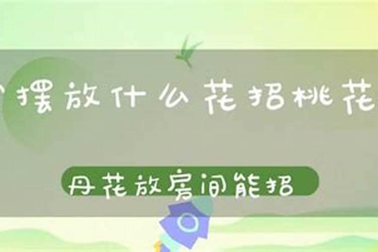 卧室摆放什么招桃花运