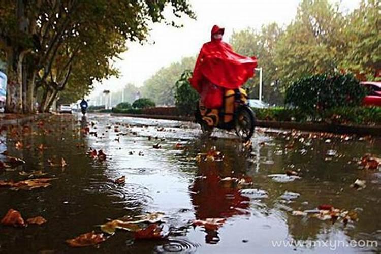 梦见雨后发洪水