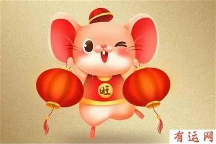 鼠属相今年运势怎么样