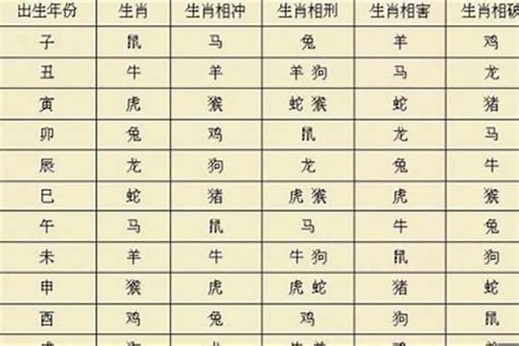 1999的人属什么的