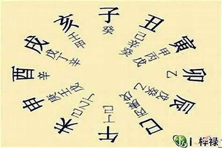 八字排盘藏干是怎么排的