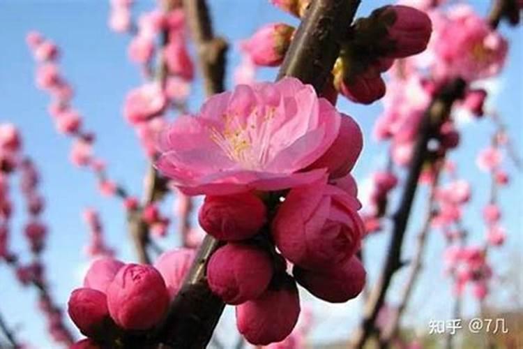 元宵节的节日时间是几月几日