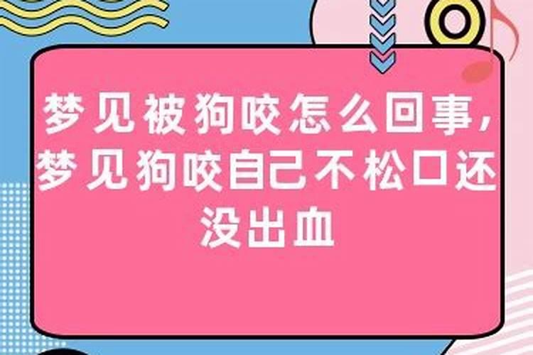 梦见狗咬自己的蛋不放好痛