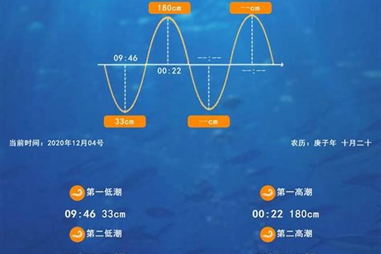 三月十五几点退潮