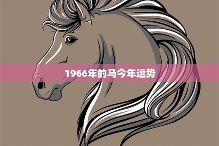 98年属于什么生肖啊女生