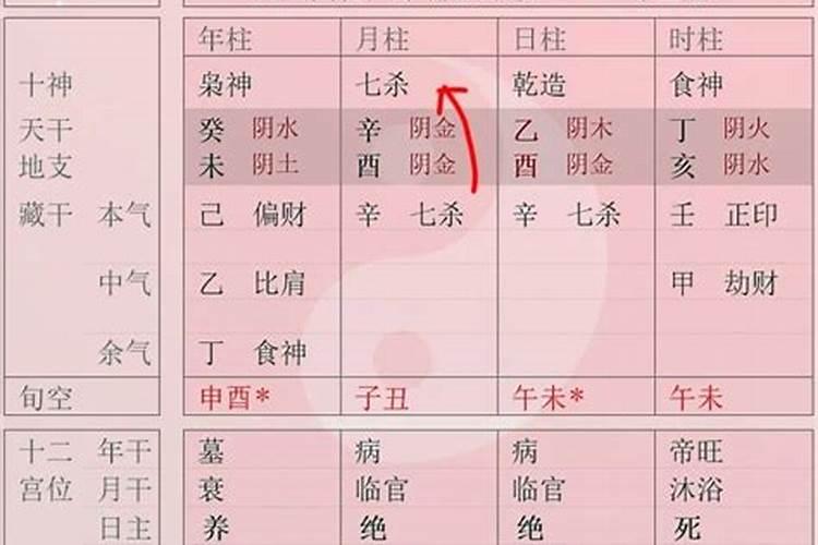 什么生肖的女人好