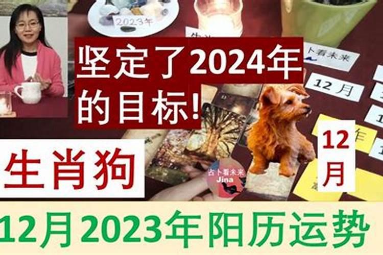 属兔运势2021年每月运势详解