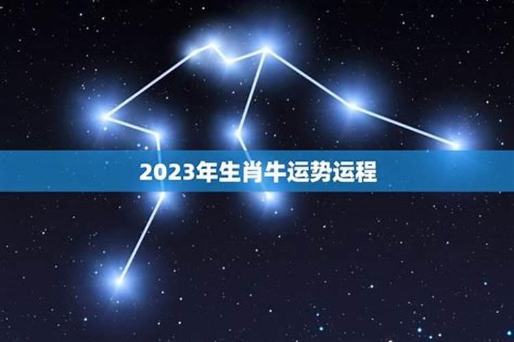 2023年97年生肖牛运势大全