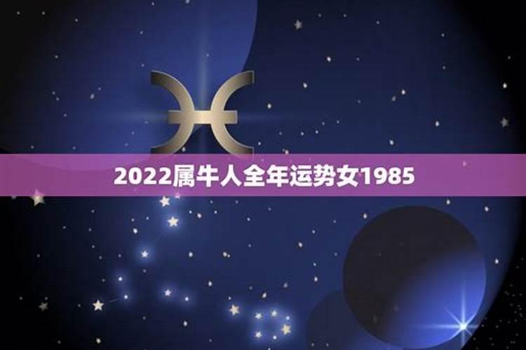 97年2023年属牛人的全年运势