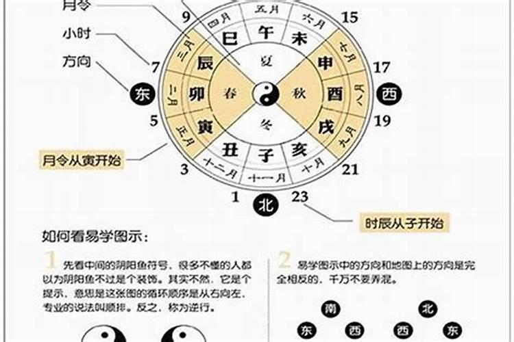 12生肖排行榜12生肖年龄