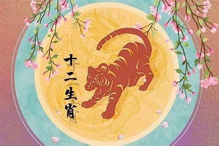 1986年属虎人今年运势如何