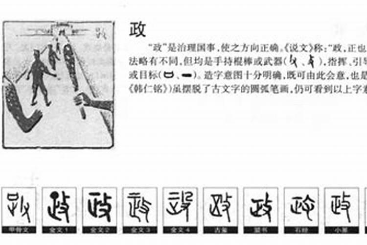 政字五行属什么及寓意