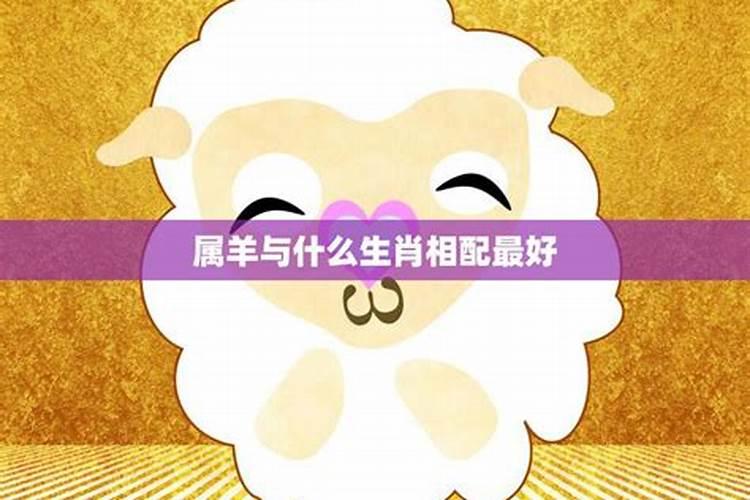 重阳节用不用上坟祭拜