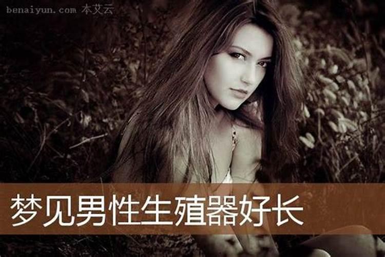 属相婚配猪和蛇相配吗婚姻如何