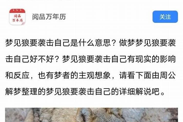 梦见自己跟狼打架我打赢了是什么意思？做梦梦见狼咬我是什么意思