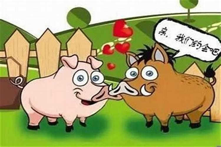 牛和猪生肖合婚吗