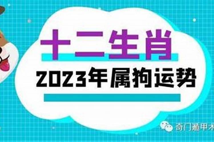 生肖狗的人在狗年运势如何