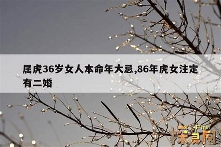 虎年分别是哪种犯太岁的属相