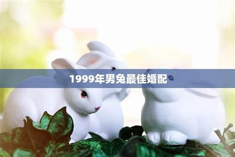 1999年兔跟蛇合婚吗