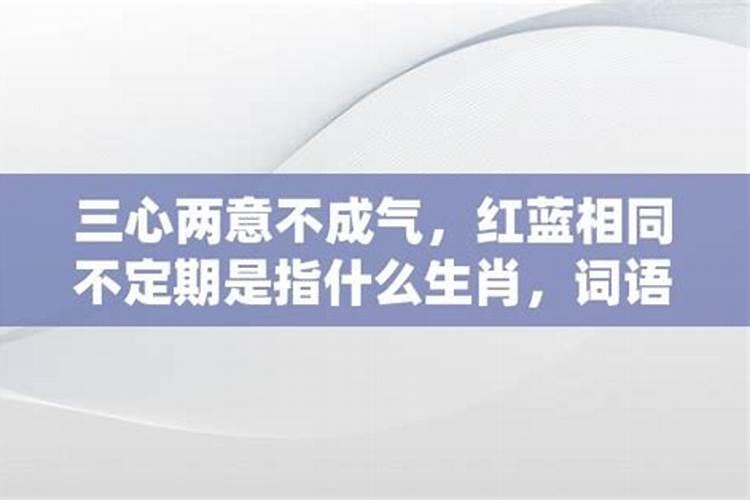 三心两意不成气是什么生肖打一肖？一语中特三心两意是什么生肖