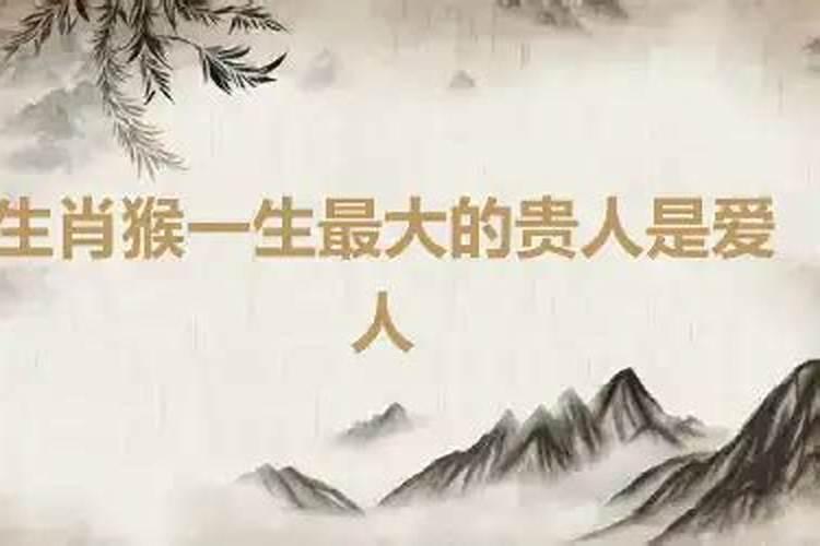 生肖马一生最克谁？属马的贵人属相是什么意思