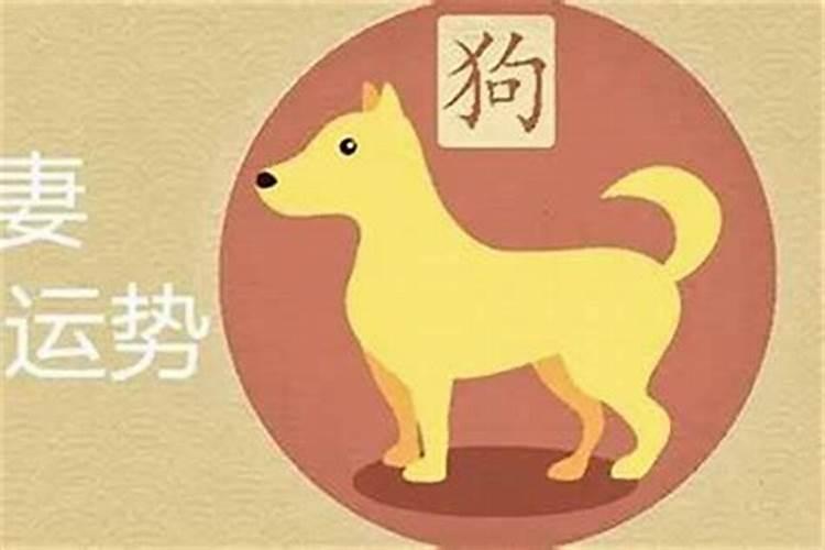 94年属狗女和猪八字合吗