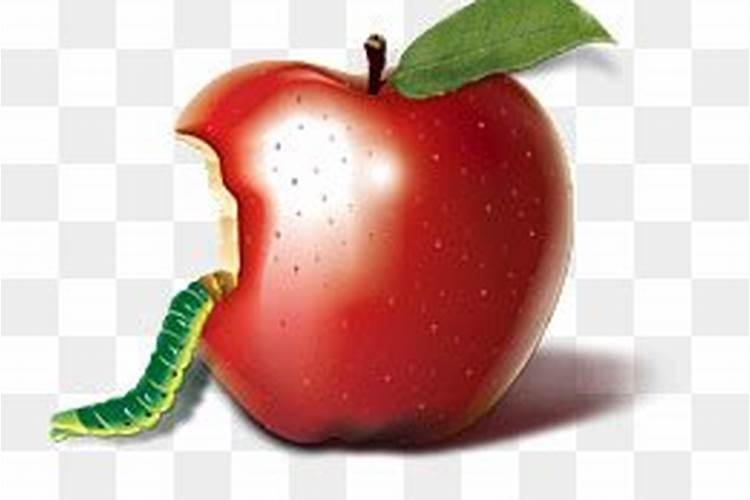 梦见吃苹果吃出虫子吃嘴里