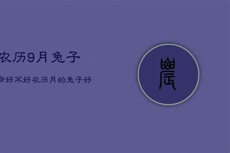 1999年9月属兔人怎么样