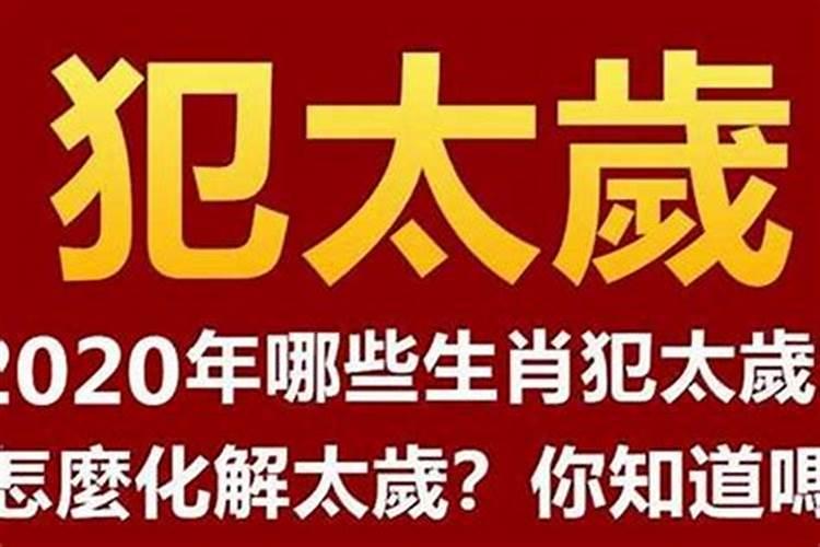 2021属牛和哪些生肖犯冲