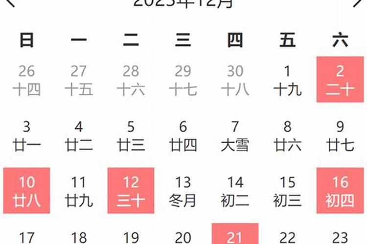 属鸡人2023年犯太岁怎么办