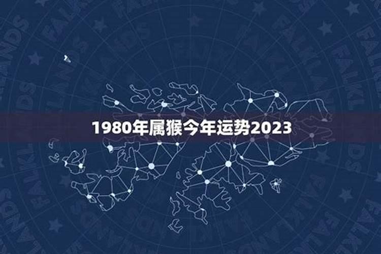 1980年属今年运势如何