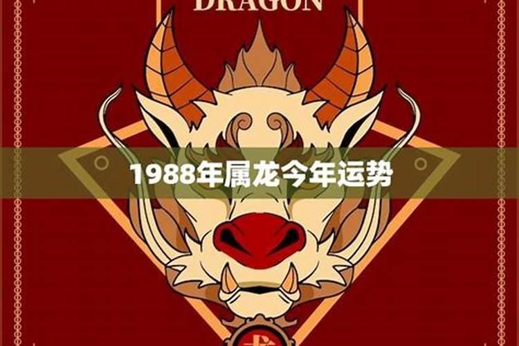 1988年属龙生人今年运势如何