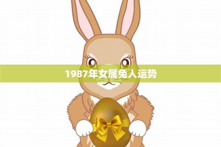 1987属兔女一生运势