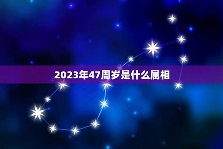 2012年41岁属什么？今年45岁属什么生肖呢