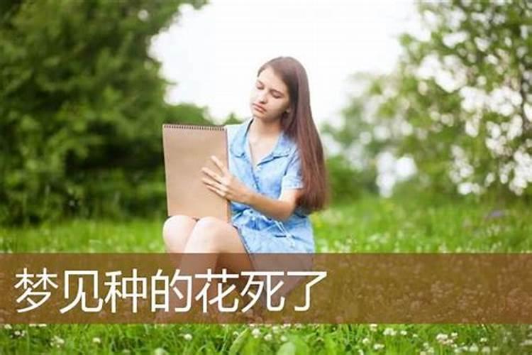 梦会不会是另一个时空？梦见种花子是什么意思