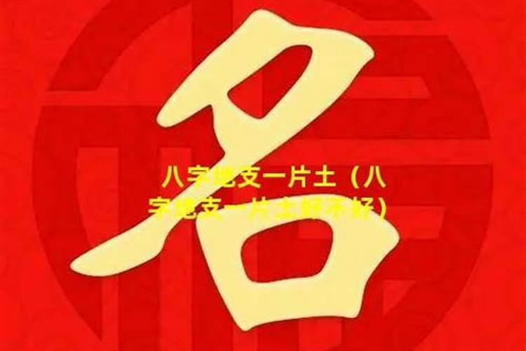 八字中申辰拱合什么意思