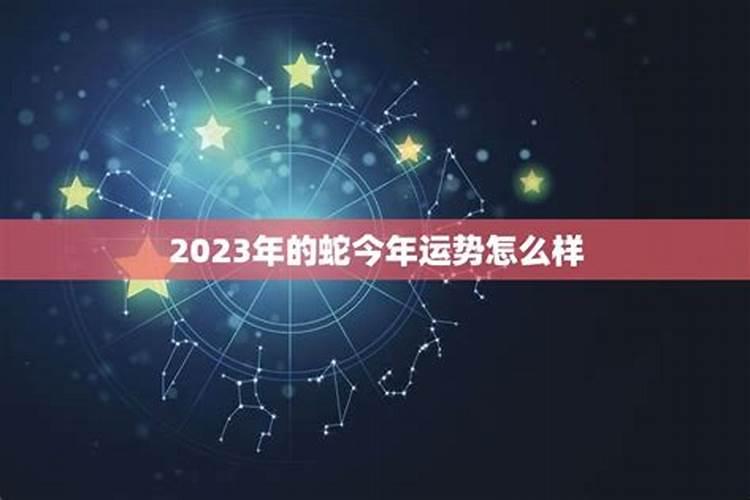 2023蛇猪人全年运势如何