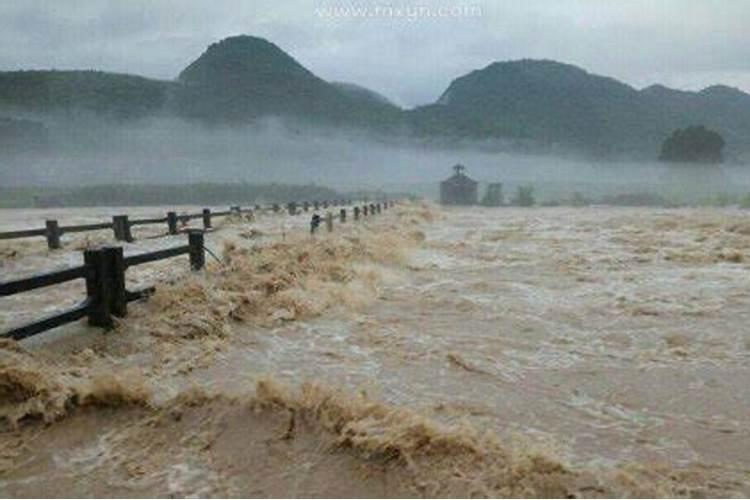 梦见大雨洪水什么预兆