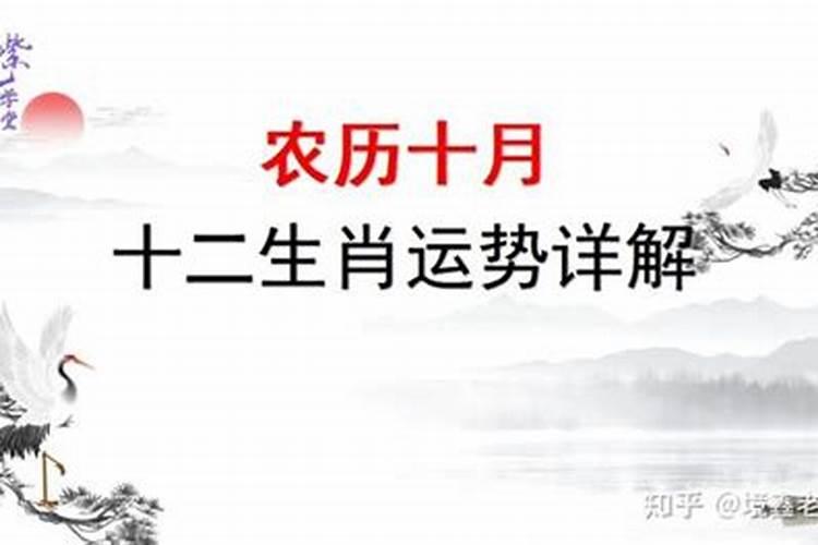 1990年农历十月初七今年运势